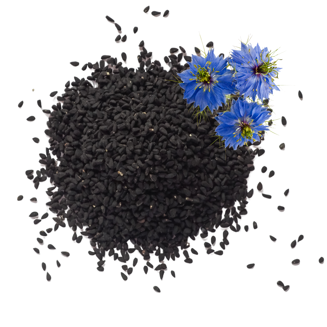 Graine de Nigelle d'Ethiopie