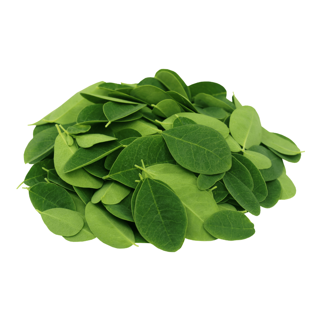 Moringa